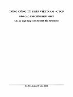 VNSTEEL BCTC hop nhat Q1.2015