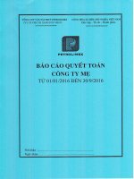 BCTC Công ty Mẹ Quý III năm 2016