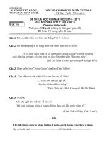 de kiem tra thi lai ngu van 11 28390