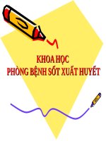 Khoa học   tuần 7   phòng bệnh sốt xuất huyết 
