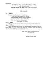 de thi hsg ngu van 8 hay 63466