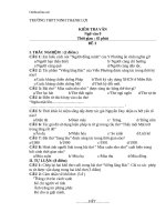 de va dap an kiem tra 45 phut ngu van 9 89357