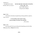 de thi hsg cap truong mon ngu van 12 84601