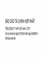 Bao cao tai chinh 6 thang Hop nhat