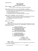 de thi hsg ngu van 8 cuc hay 44407