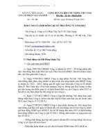 Báo cáo của Hội đồng quản trị công ty năm 2012