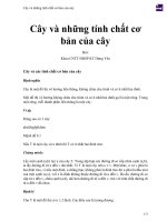 Tài liệu PDF