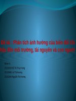 đề tài 14 phân tích ảnh hưởng biến đổi khí hậu tới môi trường
