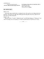 de thi hsg cap truong ngu van 11 thpt nguyen cong phuong 18942