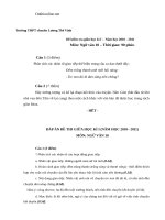 de thi giua hki van 10 thpt luong the vinh 17227