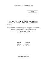 SKKN một số hình thức tổ chức hoạt động ngoại khóa trong dạy học phần VHDG cấp THCS 