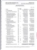 bao cao tai chinh tong hop nam 2016 da kiem toan cua cong ty cptd mai linh 1442