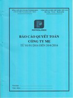 BCTC Công ty Mẹ 6 tháng năm 2016