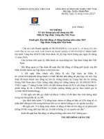 10. To trinh sua doi Dieu le 2017