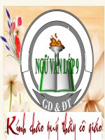 Văn 9 bai 10 tong ket ve tu vung su phat trien cua tu vung trau doi von tu 