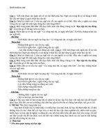 de kiem tra hkii tieng viet 7 nang cao 45590