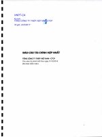 BCTC Hop nhat 2016 kiem toan VNSTEEL Signed