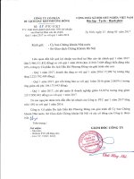 PTC Bao cao tai chinh quý 1 2017