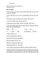 de thi vao lop 6 ngu van 6 truong amsetdam 42060