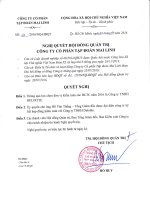 nghi quyet hoi dong quan tri mlg ve viec lua chon don vi kiem toan bctc nam 2016 1448