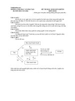 de thi hsg mon sinh hoc khoi 8 24190