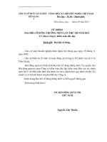 To trinh thong qua chon kiem toan Lan thu XII 2012