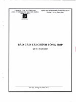 Bao cao tai chinh tong hop năm 2017
