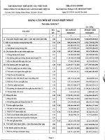 Báo cáo tài chính Hợp nhất quý 2 năm 2017.pdf
