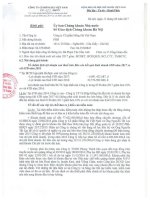 Báo cáo tài chính soát xét bán niên 2017 | Hong Ha Viet Nam Giai trinh web