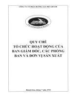 Quy che to chuc hoat dong cua BGD cac phong ban don vi san xuat