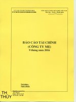 BCTC quy III 2016 Me PTS signed