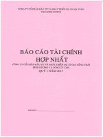 bao cao tai chinh hop nhat quy 1 2017