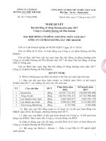 Nghị quyết 01, 03, 04-17 ĐSPK