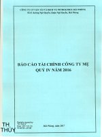 BCTC Quy IV nam 2016 Cty me PTS signed