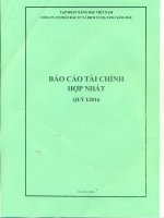 BCTC hop nhat quy I 2016