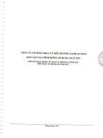 14.07.2017 AAA  Bao cao tai chinh cong ty me soat xet 6 thang dau nam 2017