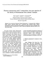 DSpace at VNU: Thismia annamensis and T.tentaculata, two new species of the family of thismiaceae from central Vietnam