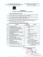 Tờ trình phương án phân phối lợi nhuận năm 2015