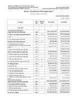 15.2 BCTC hop nhat nam 2015