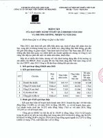 Báo cáo của Ban điều hành về kết quả hoạt động sản xuất kinh doanh năm 2015 và phương hướng, nhiệm vụ năm 2016