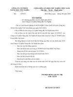 thong qua bao cao tai chinh