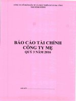 Báo cáo tài chính quý 3 năm 2016 (Công ty mẹ)