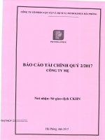 BCTC CTY ME QUY 2 2017 PTS