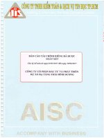 BCTC rieng 6 thang 2017