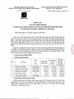 Báo cáo của Ban điều hành về kết quả hoạt động sản xuất kinh doanh năm 2016 và phương hướng, nhiệm vụ năm 2017