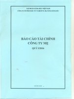 BCTC cong ty me quy I 2016