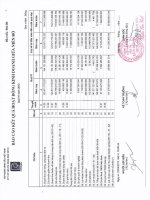 Đính chính BCTC Công ty Mẹ Quý I năm 2013