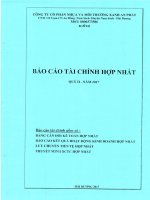 BCTC quy II hop nhat