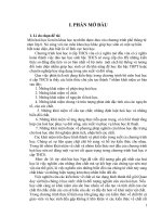 Nội dung của phương pháp giảng dạy các kiến thức về chất trong chương trình hoá học lớp 8 có nhiệm vụ nghiên cứu 
