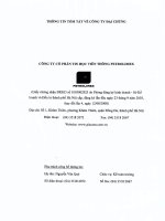 THÔNG TIN TÓM TẮT VỀ CÔNG TY ĐẠI CHÚNG